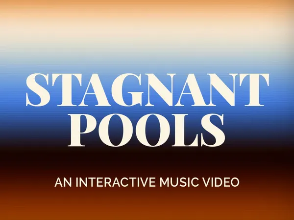 Stagnant Pools - projet réalisé pour MNNQNS en 2021