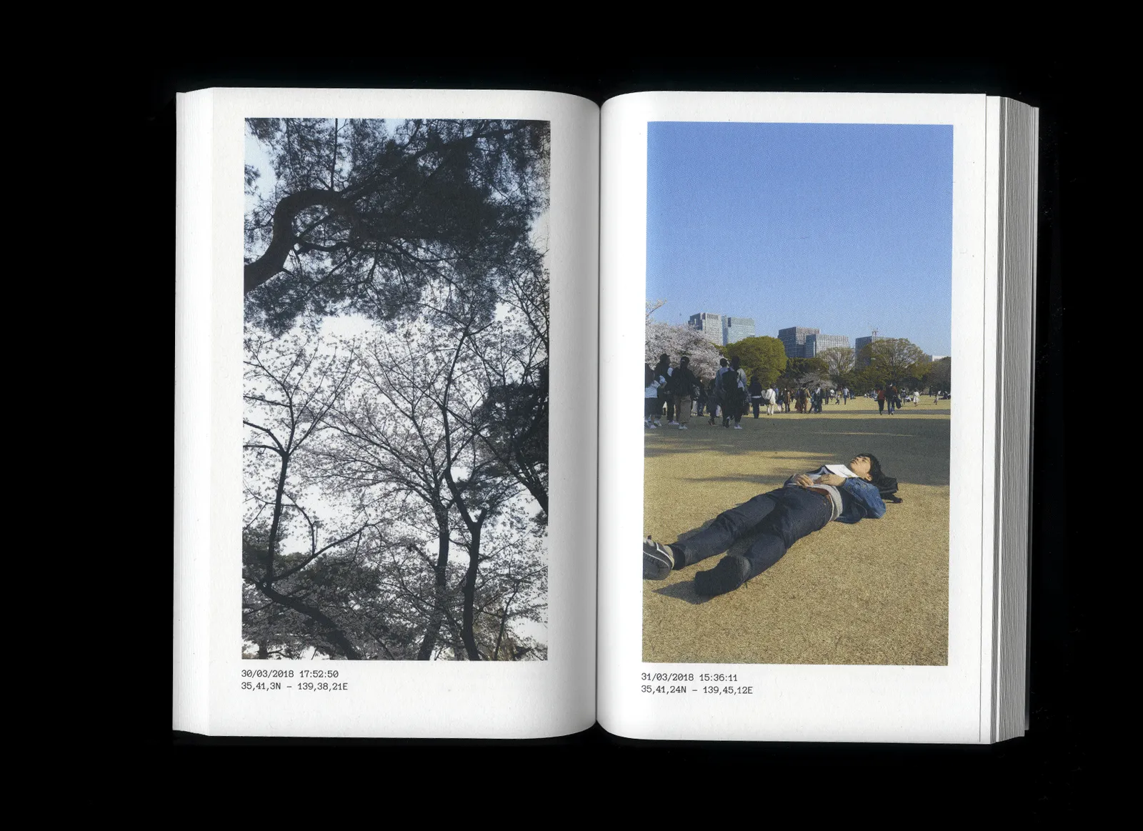 Raw images of Japan - Image 3 sur 7